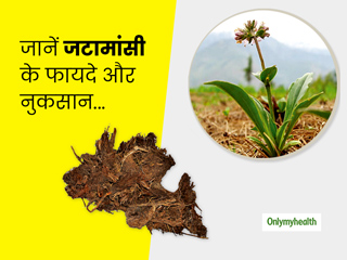 आयुर्वेद में जटामांसी से होता है कई बीमारियों का इलाज, जानें इसके फायदे और नुकसान